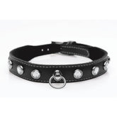 Bling Vixen Leather Choker with Clear Rhinestones Black Unisex Leather