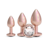 Rear Assets Trainer Kit – Set of 3 Chrome-Plated Butt Plugs in Graduated Sizes > Anal Range > Jewel Butt Plugs