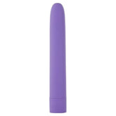 Eezy Pleezy 10 Speed 18cm Purple Bullet Vibrator BULLETS