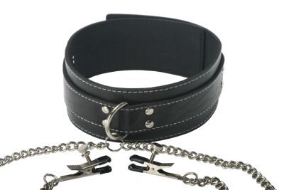 Coveted Collar and Clamp Union Set > Bondage Gear > Collars & Leashes