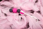 Geisha Balls Magnetic Set of 4 Sizes 15g to 27g > Sex Toys For Ladies > Kegel Exercise