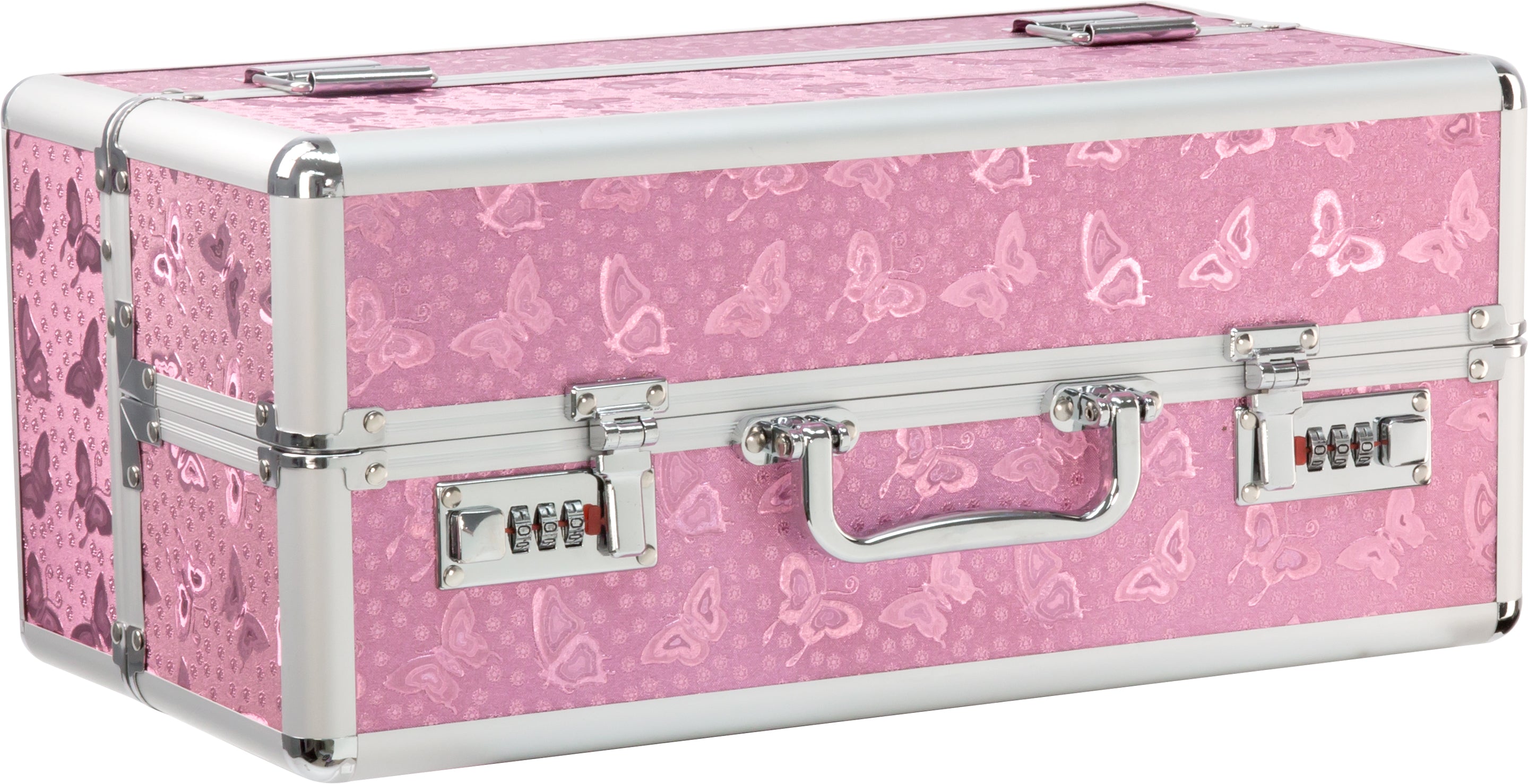 Lockable Large Vibrator Case – Secure Storage and Travel Organizer > Essentials > Toy Storage
