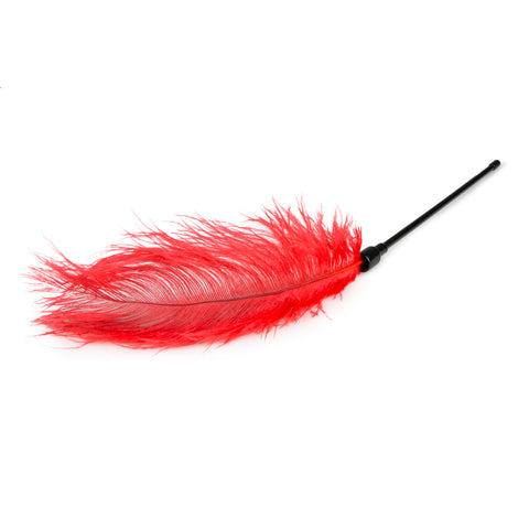 Red Feather Tickler for Sensual Teasing and Intimate Play Whips & Paddles