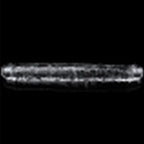 Clear Double Dildo 12 Inch > Dildos > Double Dildos