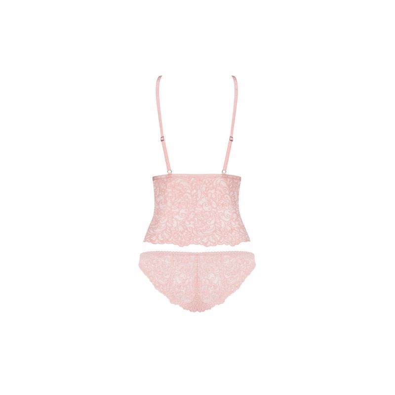 Delicanta Pink Lace Top and Panties Set – Translucent Lace Lingerie Set > Clothes > Bra Sets