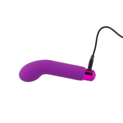 Power Bullet Sara’s Spot Vibrator Purple for G-Spot Pleasure BULLETS