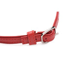 Fiery Pet Leather Choker with Silver Ring in Red > Clothes > Womens Leather