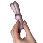 SugarBoo Bunnie Boo Rabbit Vibe Blush – Compact Silicone Personal Massager > Vibrators > Ladies > Rabbit