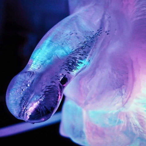 Play Wiv Me Huge Penis Ice Luge Mould for Standard Freezers Games