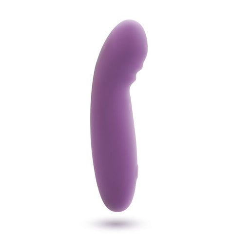 Skins Touch The Glee Spot 155mm Silicone Vibrator Purple Vibrators