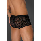 Noir Sheer Animal Print Pants – Form-Fitting Transparent Powernet Pants > Clothes > Mens Briefs