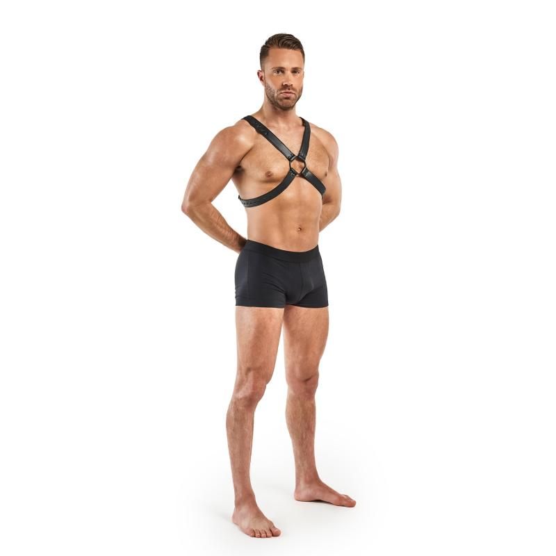 Lionel Bondage Harness in Black Faux Leather > Clothes > Mens Harnesses