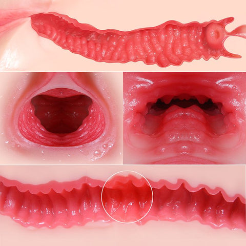 Maria Onahole 3 Butt 1:1 Vaginal and Anal Torso