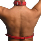 Red Female Chest Harness Size S/M > Clothes > Womens Harnesses