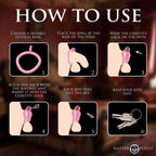 Master Series Pussification Vulva Chasity Cage > Bondage Gear > Male Chastity