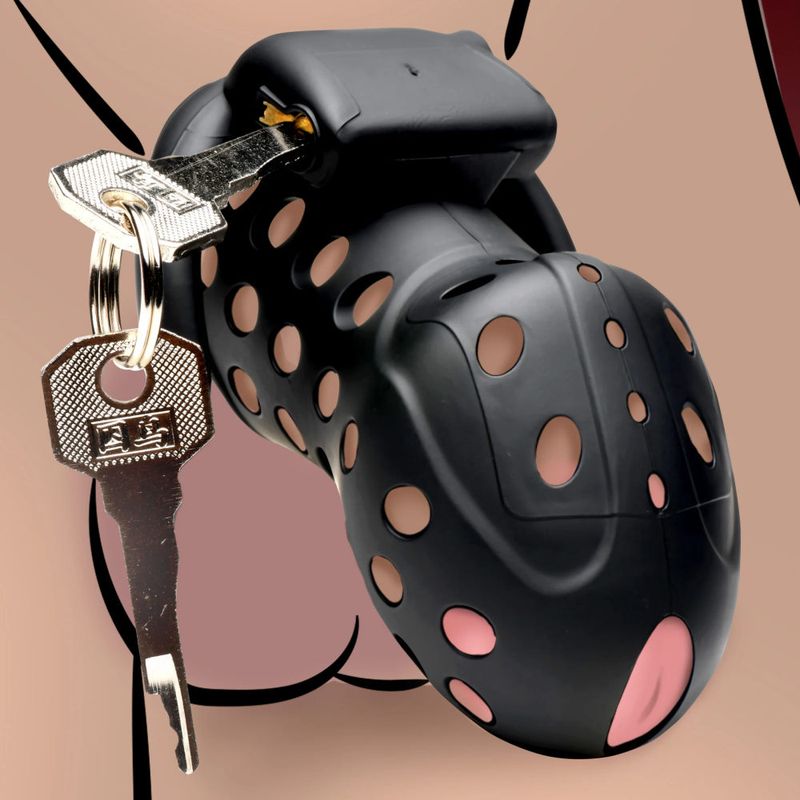 Lock Down Adjustable Chastity Cage with Secure Locking Mechanism for Men > Bondage Gear > Male Chastity
