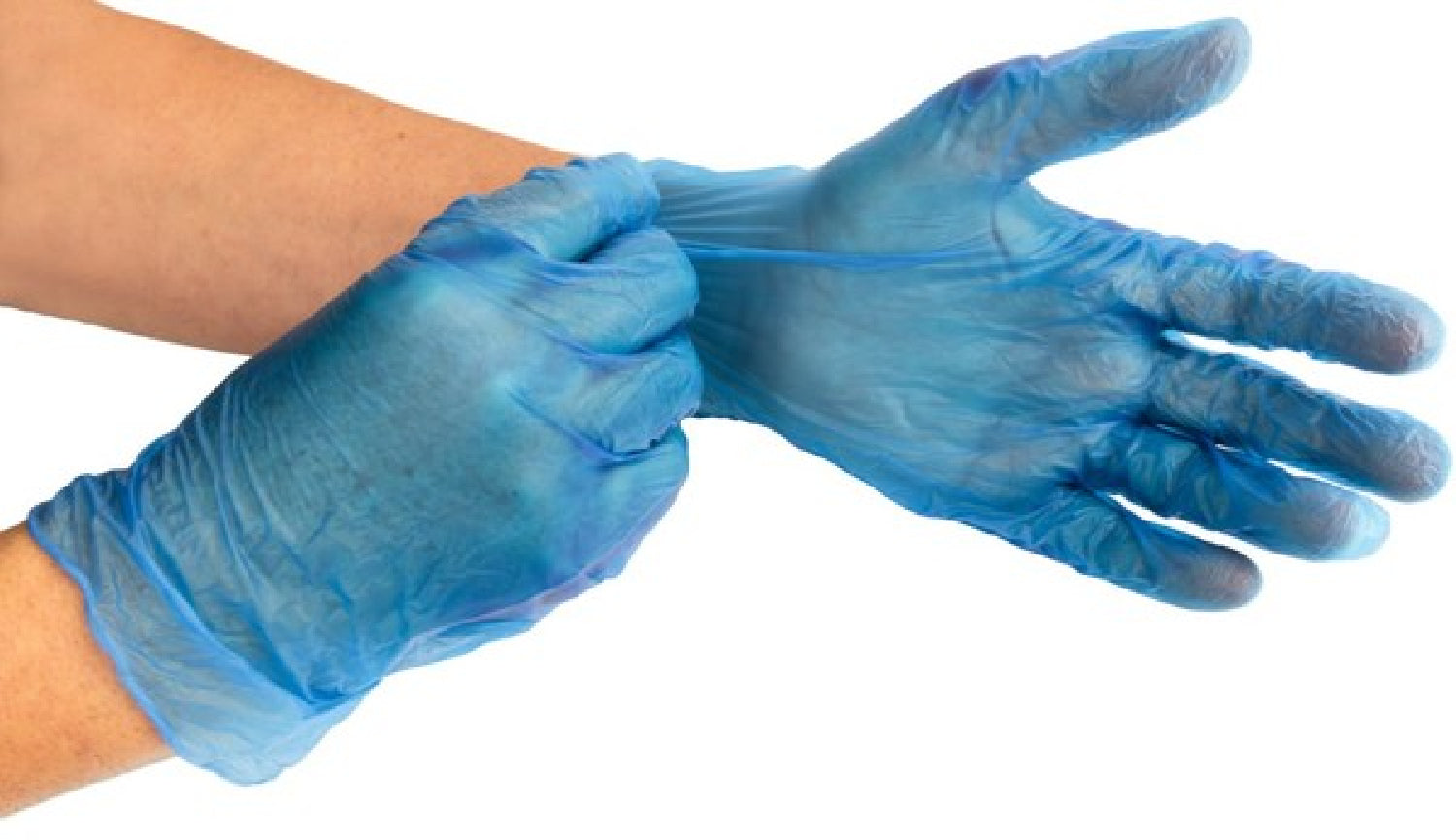 Disposable Vinyl Gloves Medium Powder-Free Clear Strong Vinyl Protective Gloves > Bondage Gear > Medical Instruments Main image