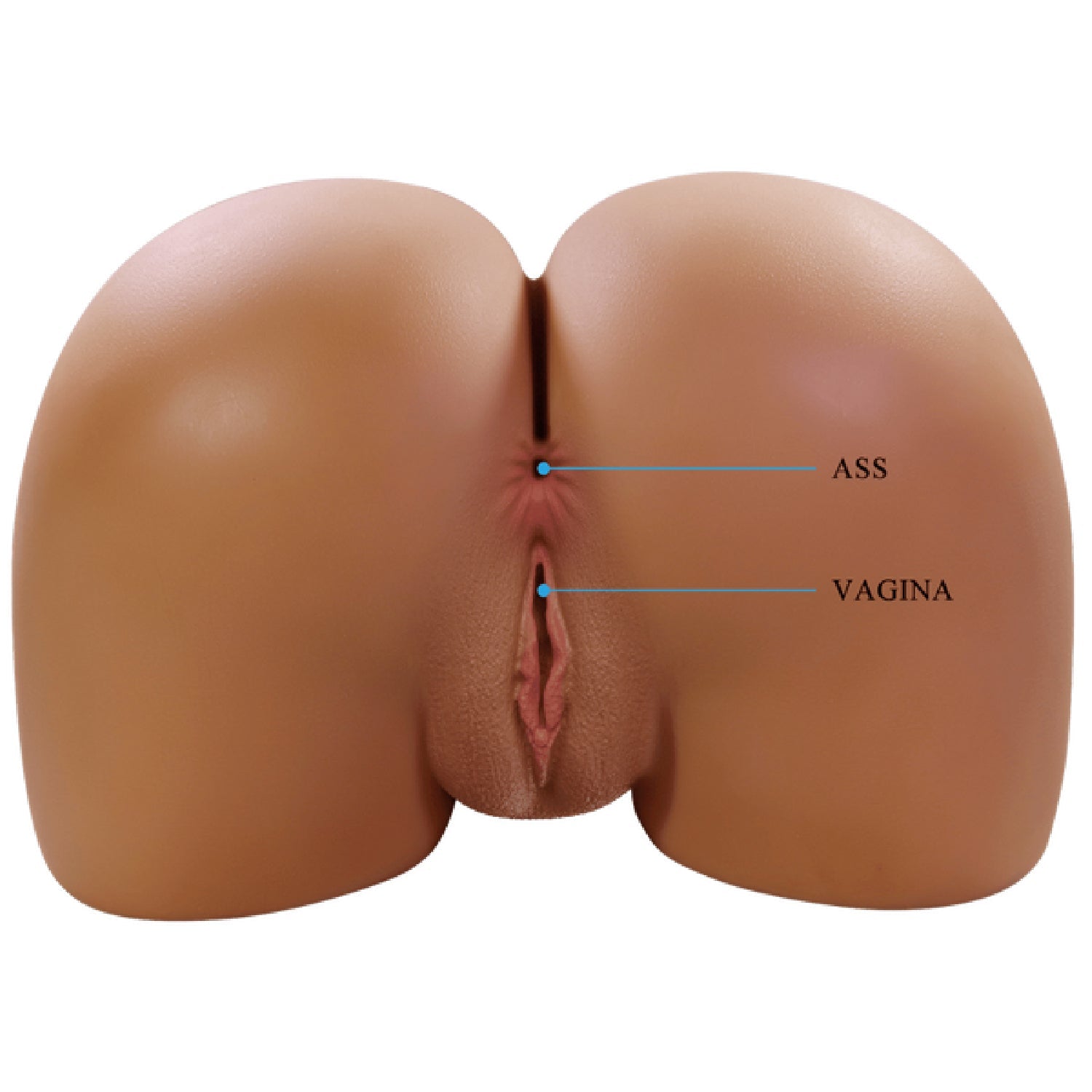 Wendy Vagina and Anal Masturbator – Realistic 3D Petite Pelvis Masturbator > Sex Toys For Men > Assbators
