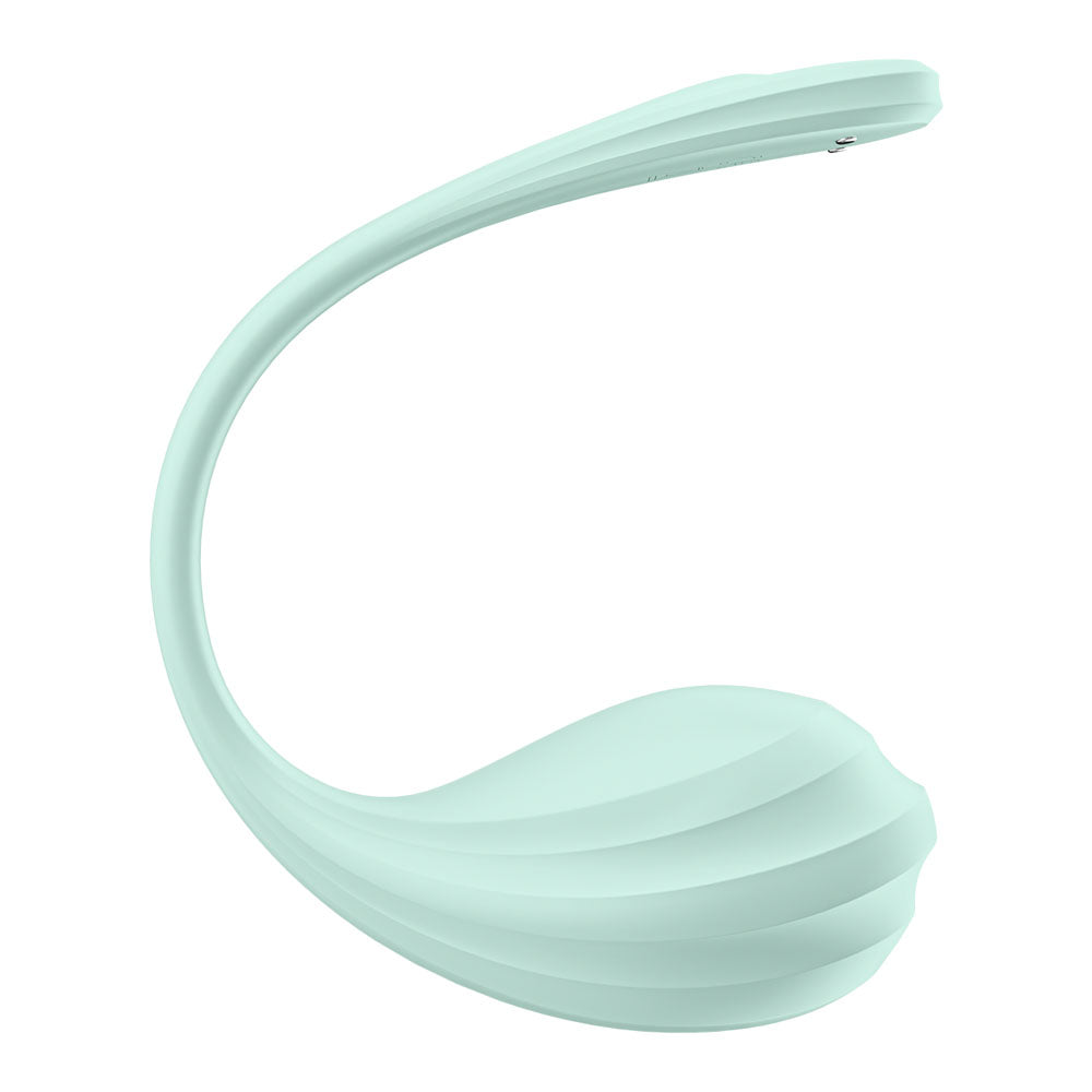 Satisfyer Smooth Petal Wearable Rechargeable G-Spot Stimulator > Sex Toys For Ladies > G-Spot Vibrators