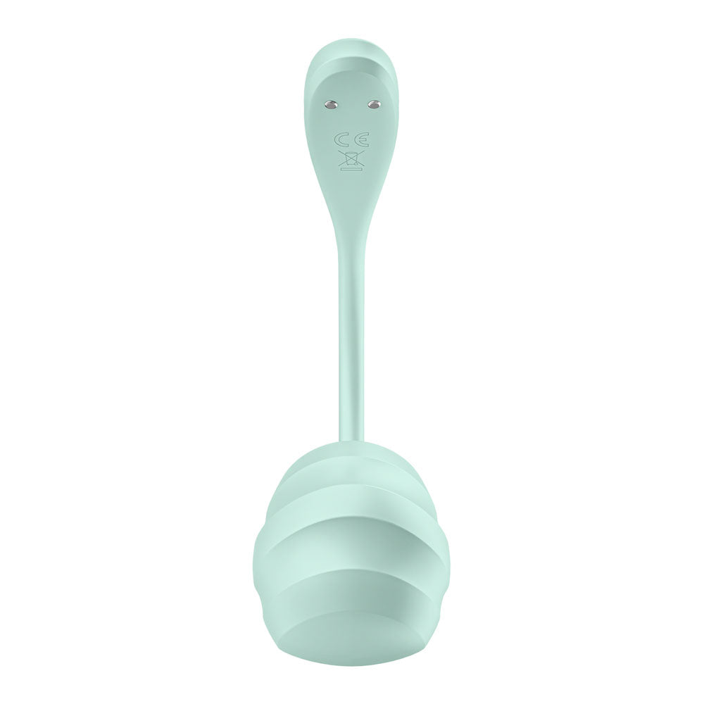 Satisfyer Smooth Petal Wearable Rechargeable G-Spot Stimulator > Sex Toys For Ladies > G-Spot Vibrators