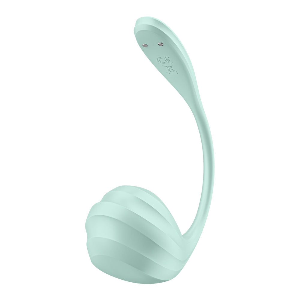 Satisfyer Smooth Petal Wearable Rechargeable G-Spot Stimulator > Sex Toys For Ladies > G-Spot Vibrators