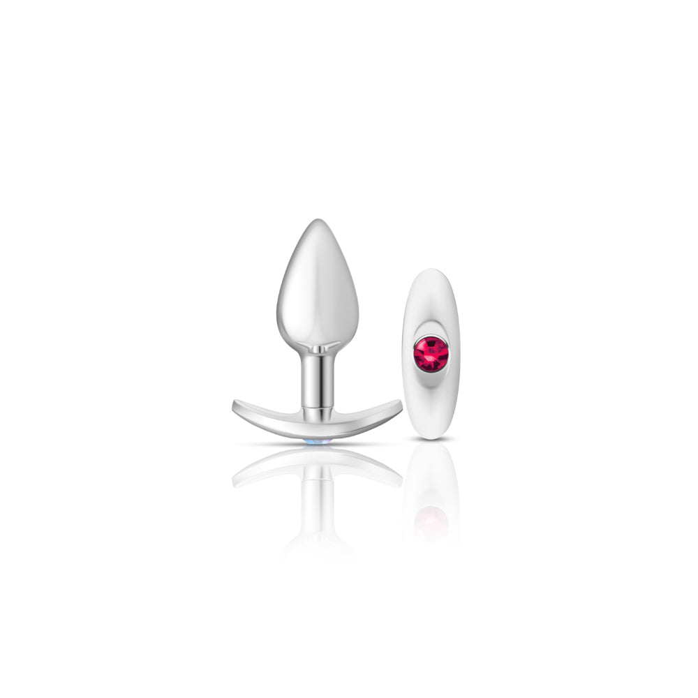 Cheeky Charms Silver Anchor Butt Plug with Clear and Pink Jewel Kit Pink > Anal Range > Butt Plug Kits
