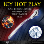 Master Series Silver Sensation Wartenberg Wheel > Bondage Gear > Medical Instruments