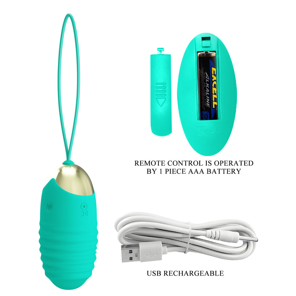 Party Up Ian Remote Egg Teal USB Rechargeable Vibrating Egg with Wireless Remote EGGS