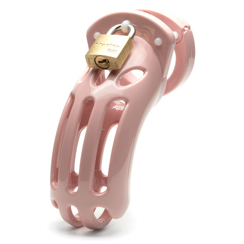Curve Chastity Cock Cage Kit Ball Stretcher