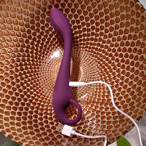 Evolved Loch Ness G 19 Centimeter USB Rechargeable Vibrator Vibrators