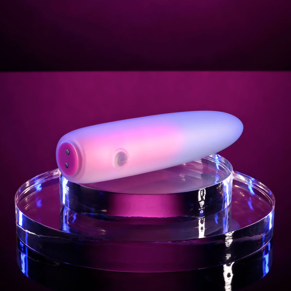 Evolved PARADISE BULLET - Pink/Purple 10.2 cm USB Rechargeable Bullet BULLETS & EGGS