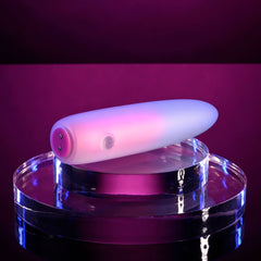 Evolved PARADISE BULLET - Pink/Purple 10.2 cm USB Rechargeable Bullet BULLETS & EGGS