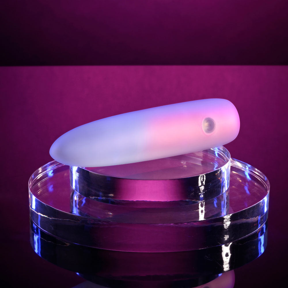 Evolved PARADISE BULLET - Pink/Purple 10.2 cm USB Rechargeable Bullet BULLETS & EGGS