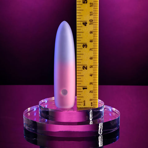 Evolved Paradise Bullet Pink Purple 10.2 cm USB Rechargeable Mini Vibrator BULLETS