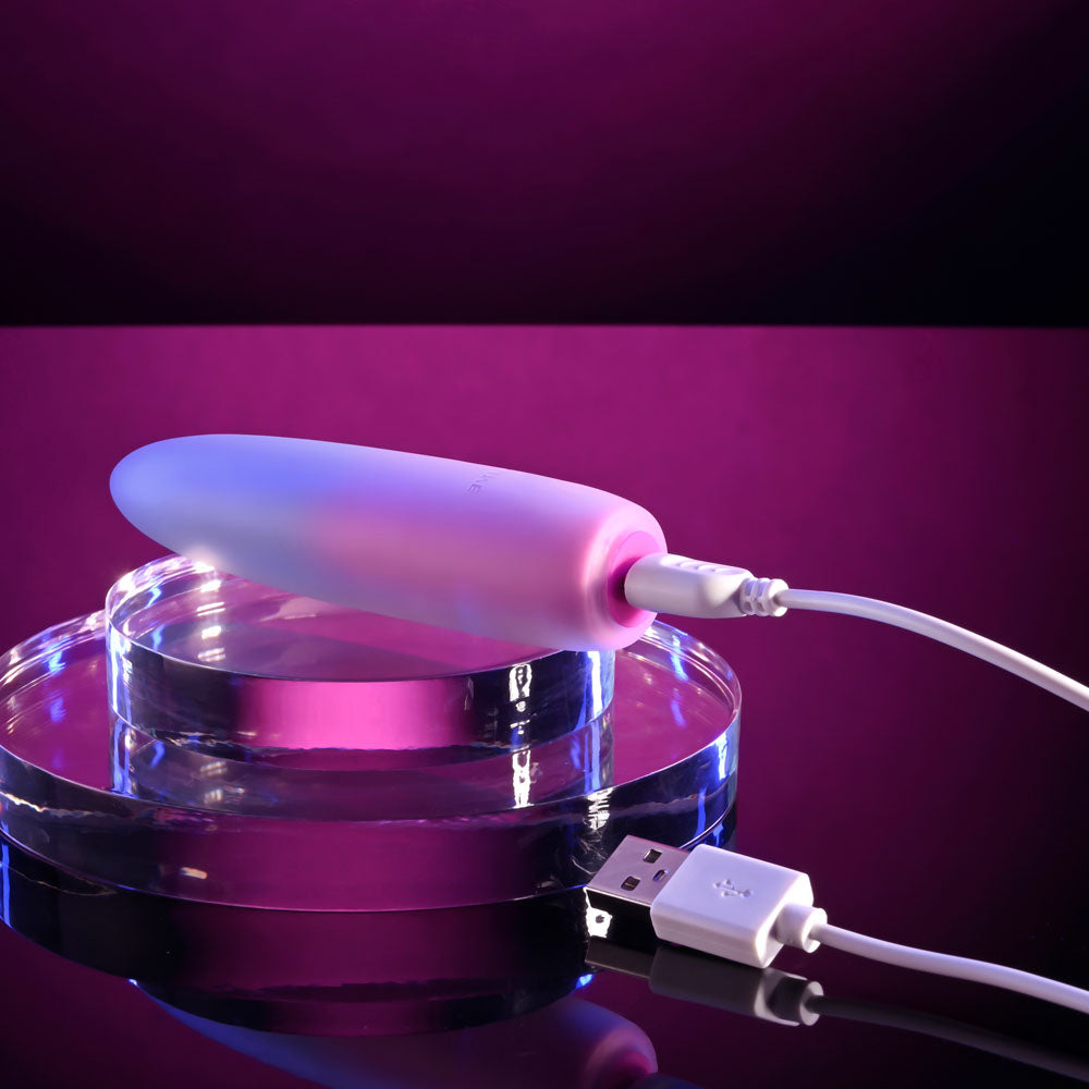 Evolved PARADISE BULLET - Pink/Purple 10.2 cm USB Rechargeable Bullet BULLETS & EGGS