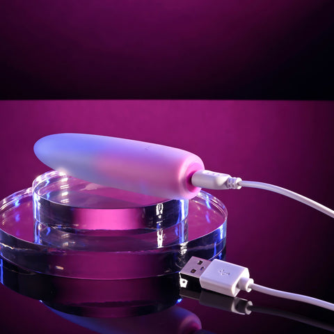 Evolved Paradise Bullet Pink Purple 10.2 cm USB Rechargeable Mini Vibrator BULLETS