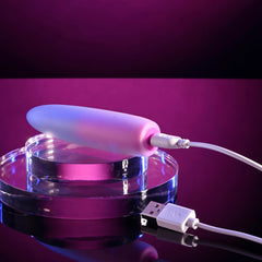 Evolved PARADISE BULLET - Pink/Purple 10.2 cm USB Rechargeable Bullet BULLETS & EGGS