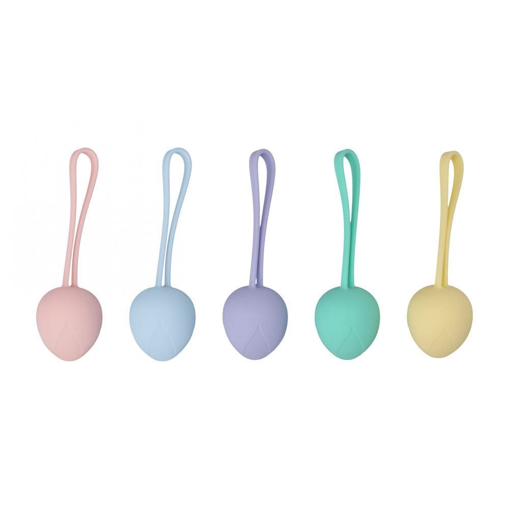 Lovelife PelviFit Berry Kegel Kit Set of Five Sizes for Pelvic Health > Sex Toys For Ladies > Kegel Exercise