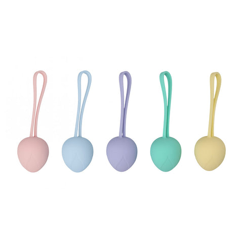 Lovelife PelviFit Berry Kegel Kit Set of Five Sizes for Pelvic Health > Sex Toys For Ladies > Kegel Exercise