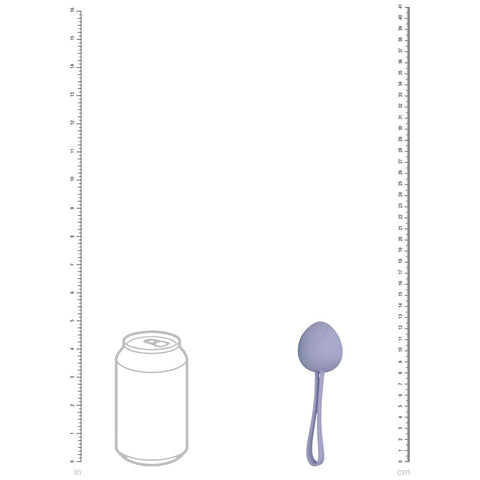 Lovelife PelviFit Berry Kegel Kit Set of Five Sizes for Pelvic Health > Sex Toys For Ladies > Kegel Exercise