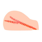 Kokos Real Hip Juliana – Multi-Dimensional Doggy Style Masturbator > Sex Toys For Men > Assbators
