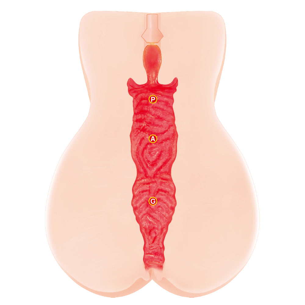 Kokos Vanilla Onahole – Dual Layer Vagina Stroker > Sex Toys For Men > Masturbators Manual