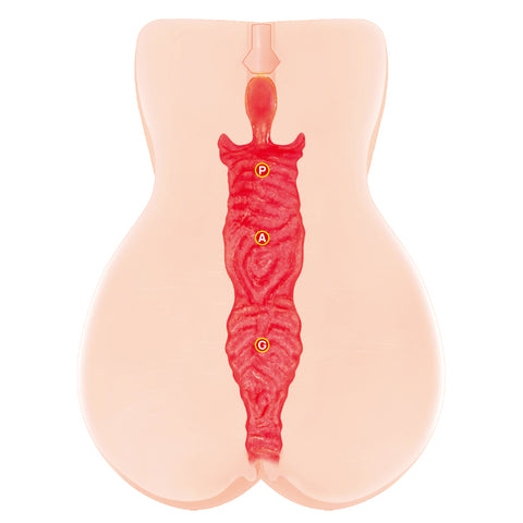 Kokos Vanilla Onahole – Dual Layer Vagina Stroker > Sex Toys For Men > Masturbators Manual