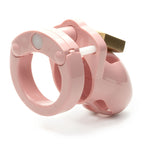 Mr Stubb Chastity Cock Cage Kit 1.75 Inch Restraint Device (Duplicate) > Bondage Gear > Male Chastity
