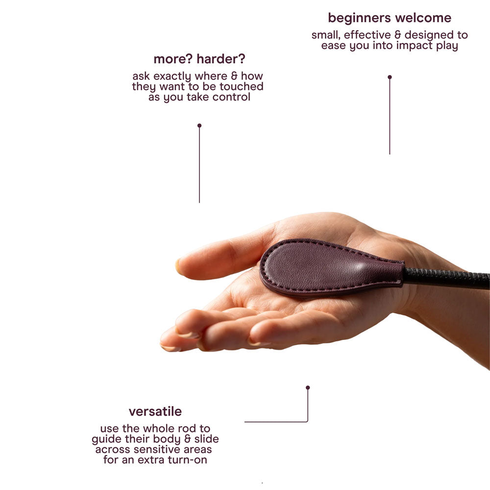 Abbie X Normal Kink Kit 4 Piece Bondage Set for Beginners > Bondage Gear > Bondage Kits