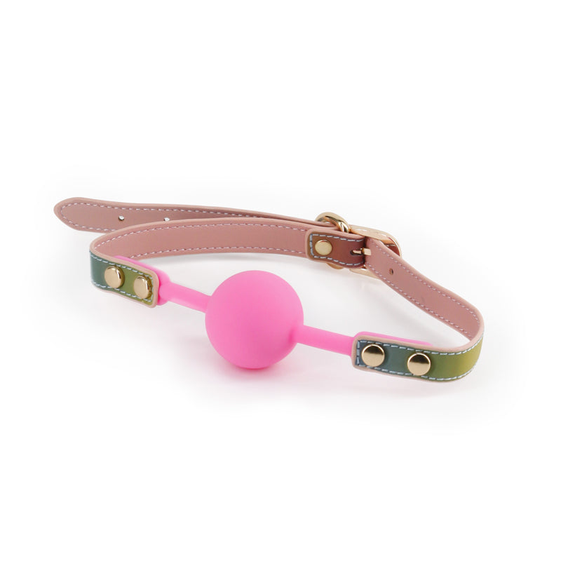 Spectra Bondage Rainbow Ball Gag Mouth Restraint Gags