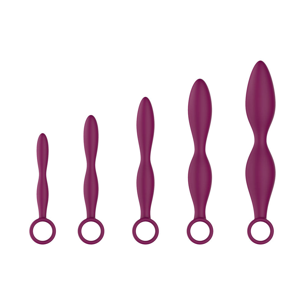 Passion Play Silicone Dilator Set – 5-Piece Vaginal Dilator Kit Purple > Sex Toys > Dilators Main image