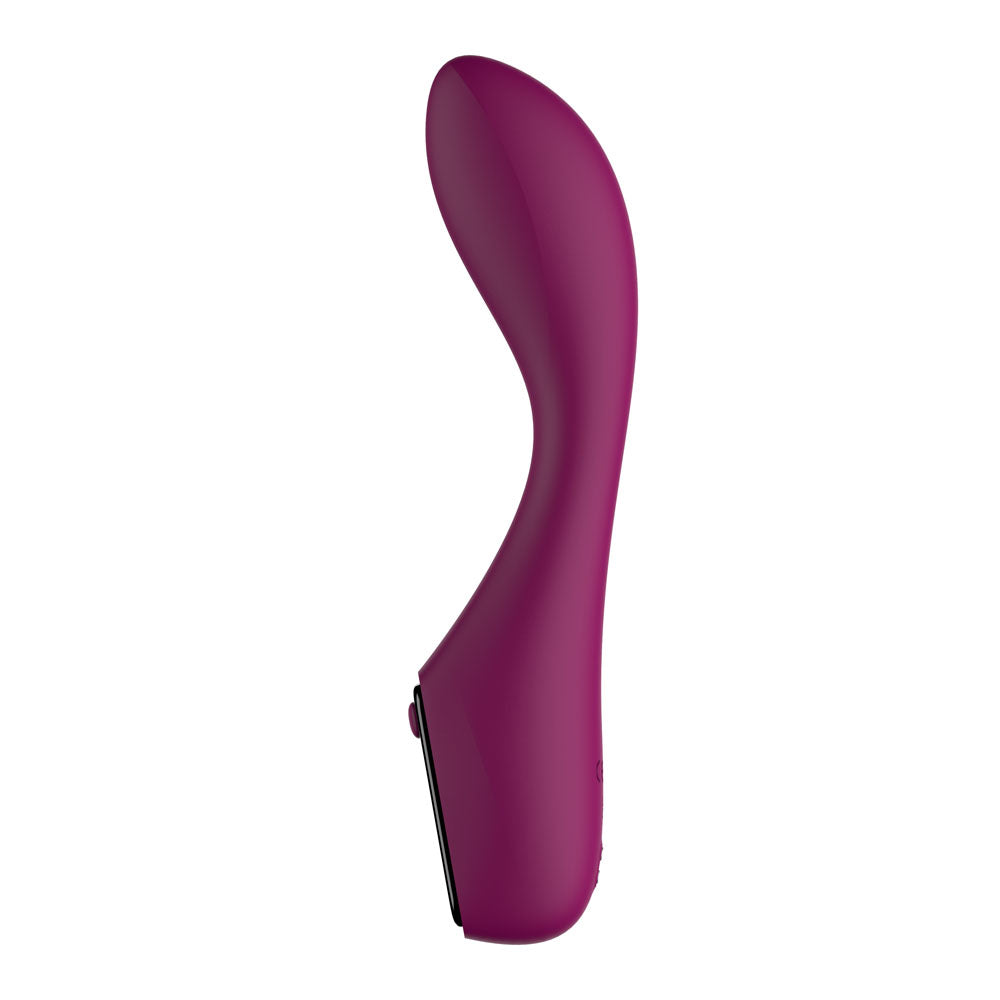 Passion Play G-Spot Vibrator with LED Light > Vibrators > Standard Vibrators