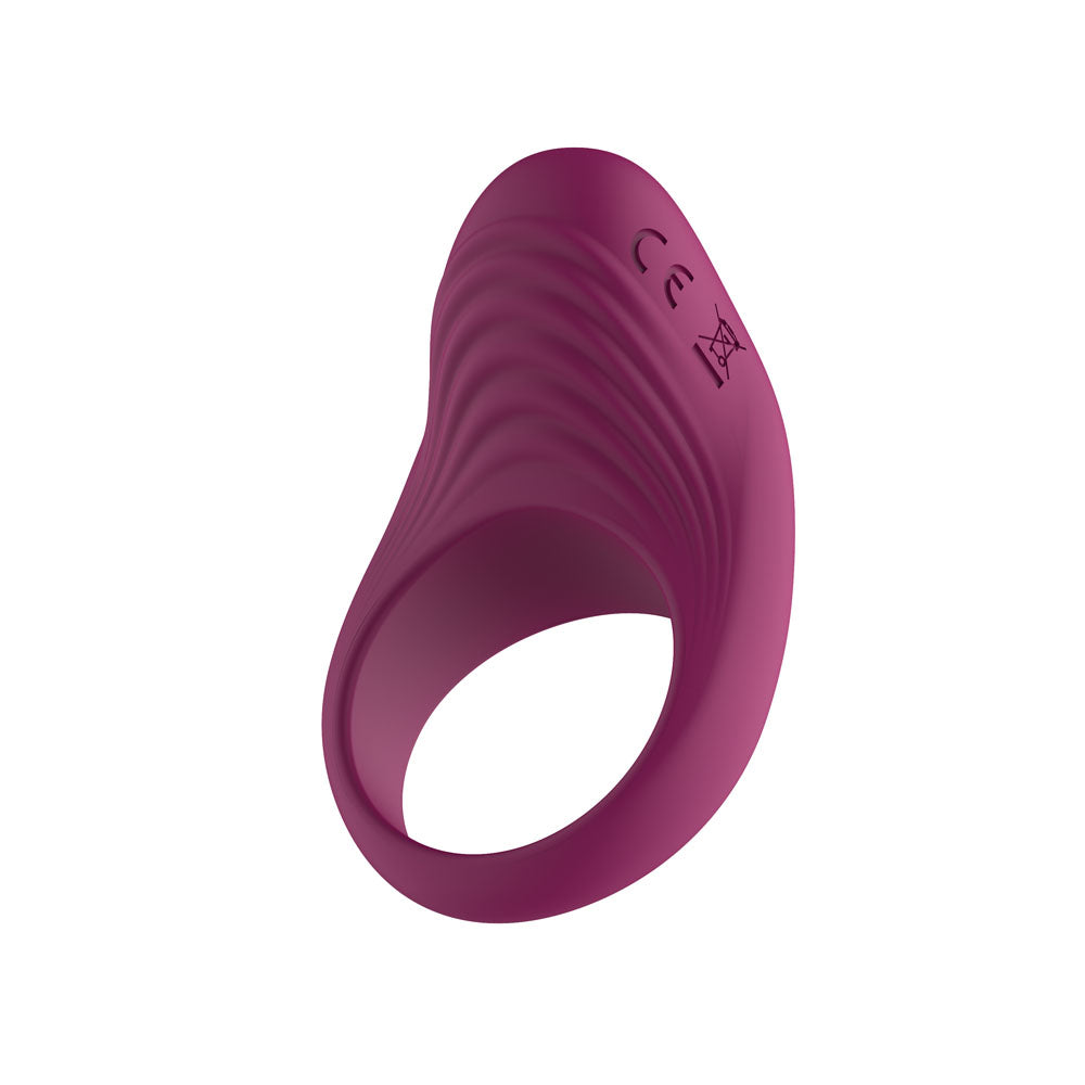 Passion Play Silicone Vibrating Cockring - USB Rechargeable Penis Ring Purple > Sex Toys > Couples Toys Main image