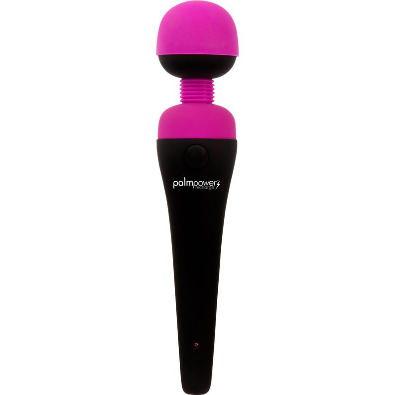 Palmpower Massage Wand Rechargeable Waterproof Adult Toy Electric Massager